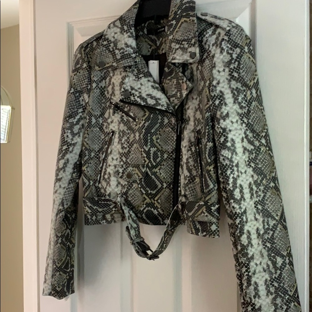 Aqua Faux Snake Moto Jacket